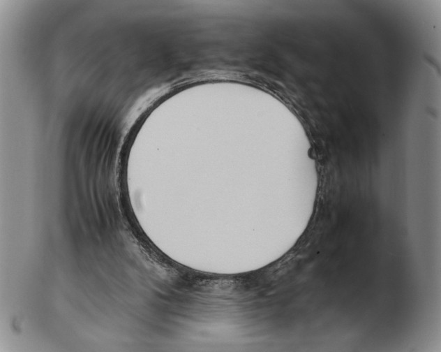 X0000102760104200809151024