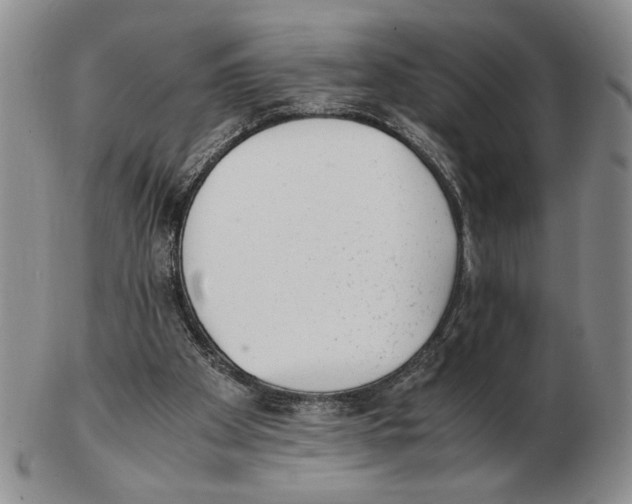 X0000102760105200809151024