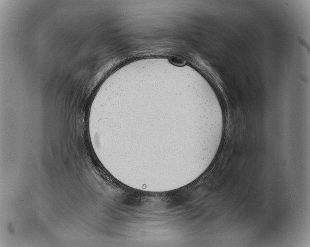 X0000102760107200809151024