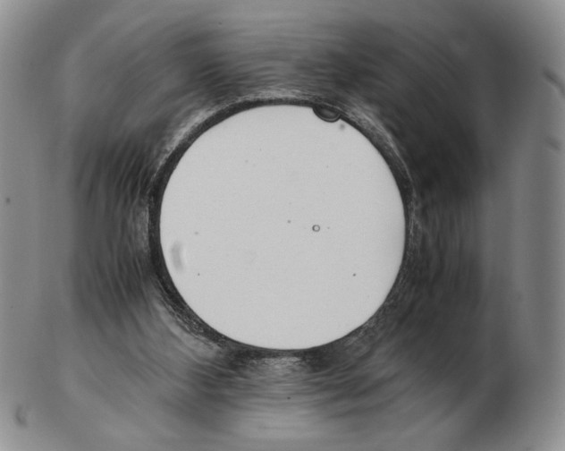 X0000102760108200809151024