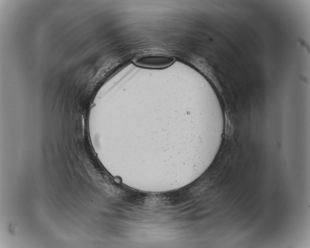 X0000102760109200809151024