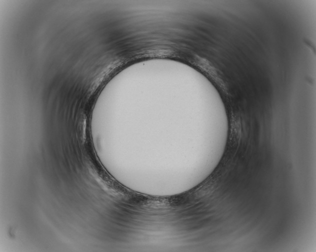 X0000102760110200809151024