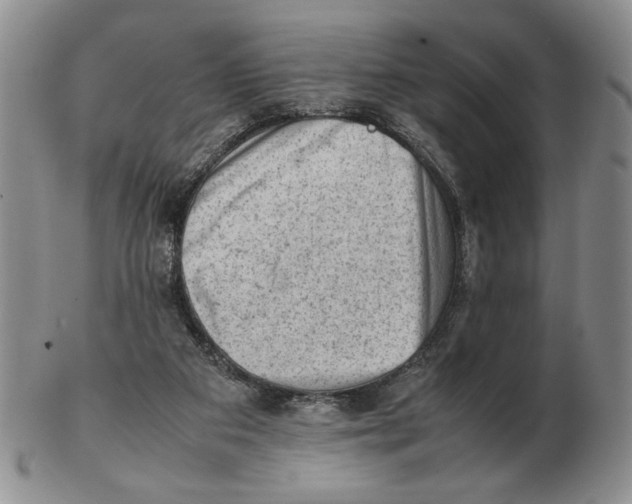 X0000102760113200809151024