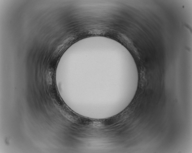 X0000102760114200809151024