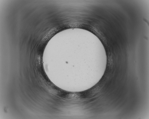 X0000102760117200809151024