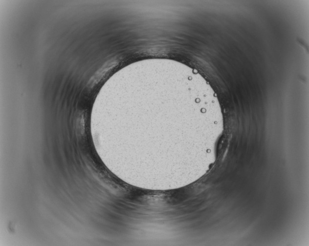 X0000102760120200809151024