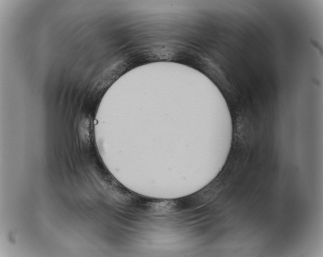 X0000102760122200809151024