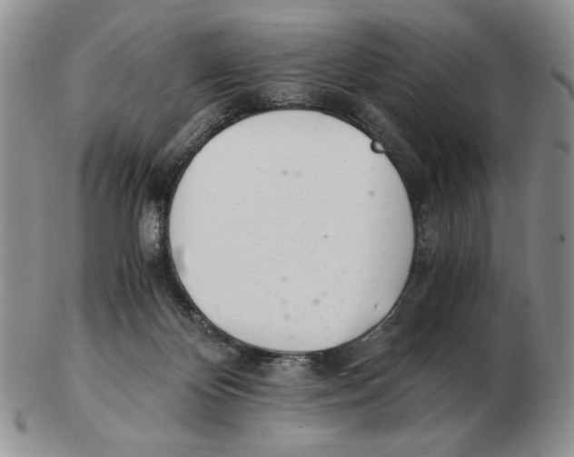 X0000102760124200809151024