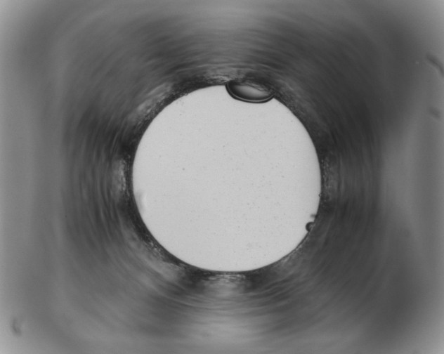 X0000102760128200809151024