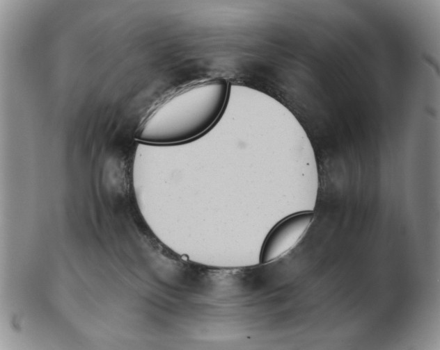 X0000102760136200809151024
