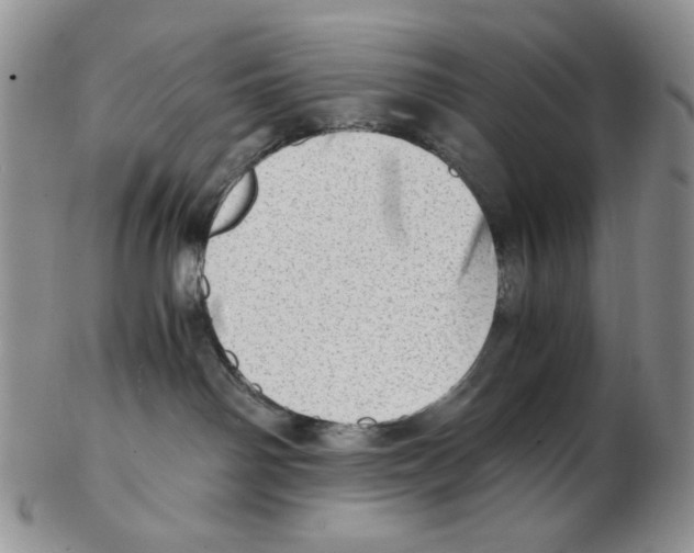 X0000102760142200809151024