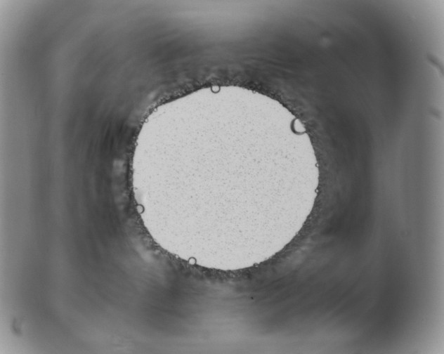 X0000102760144200809151024