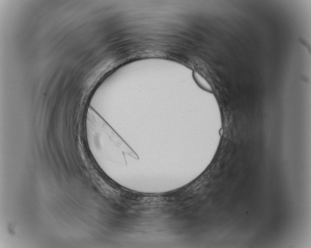 X0000102760145200809151023