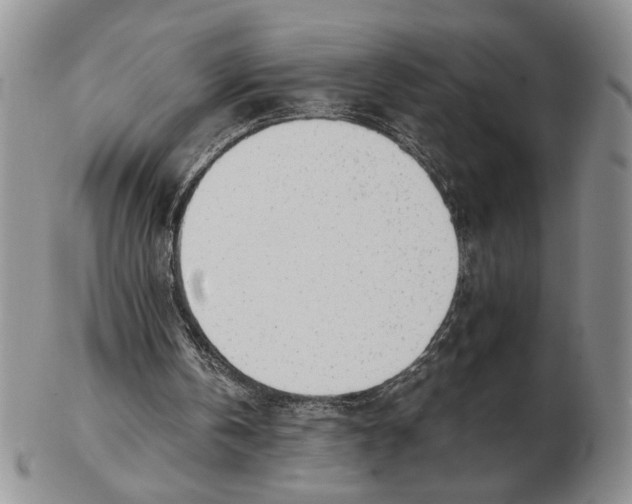 X0000102760146200809151023