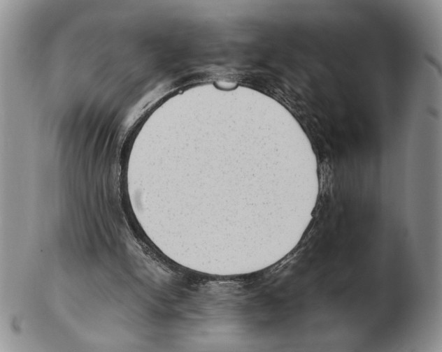 X0000102760150200809151023