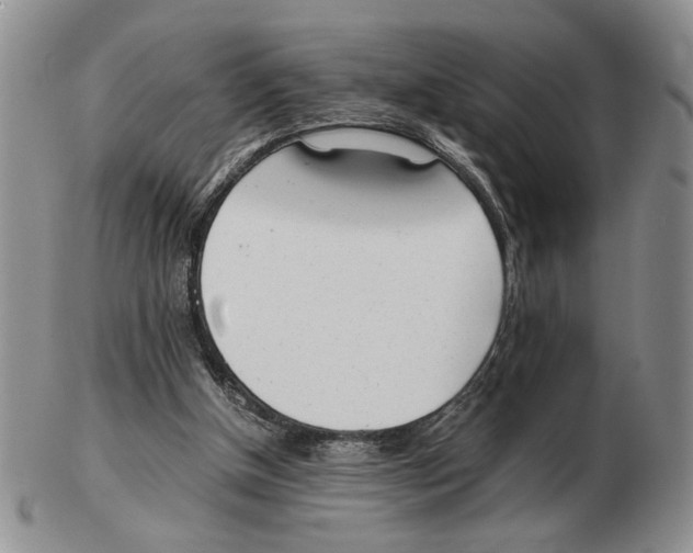 X0000102760154200809151023