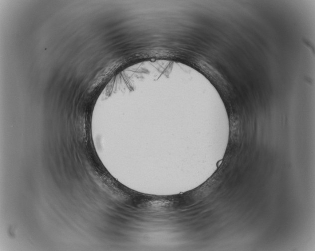 X0000102760158200809151023