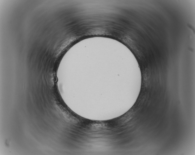 X0000102760160200809151023