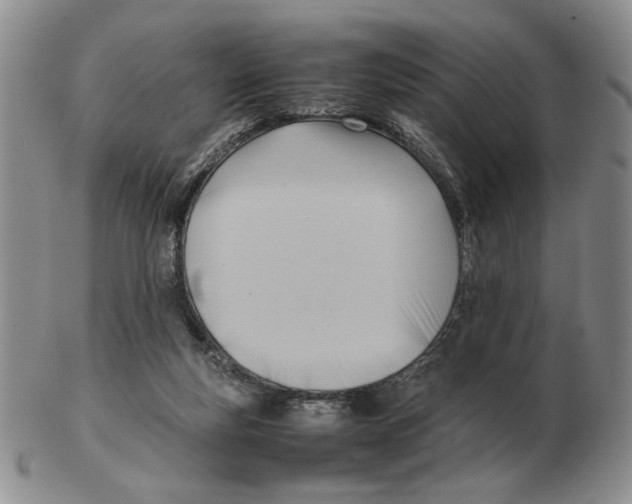 X0000102760163200809151023