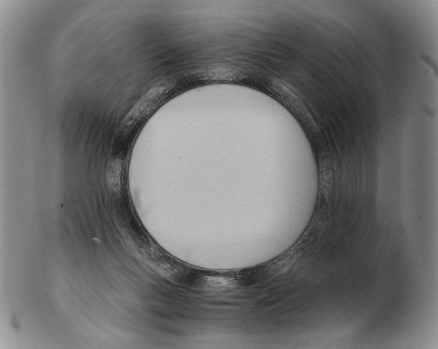 X0000102760167200809151023