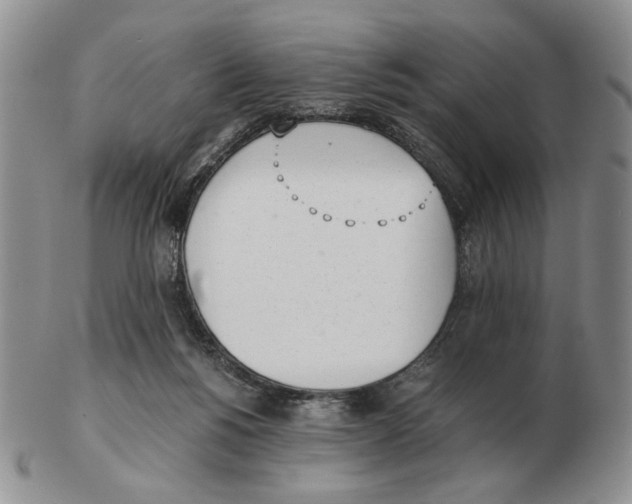 X0000102760168200809151023
