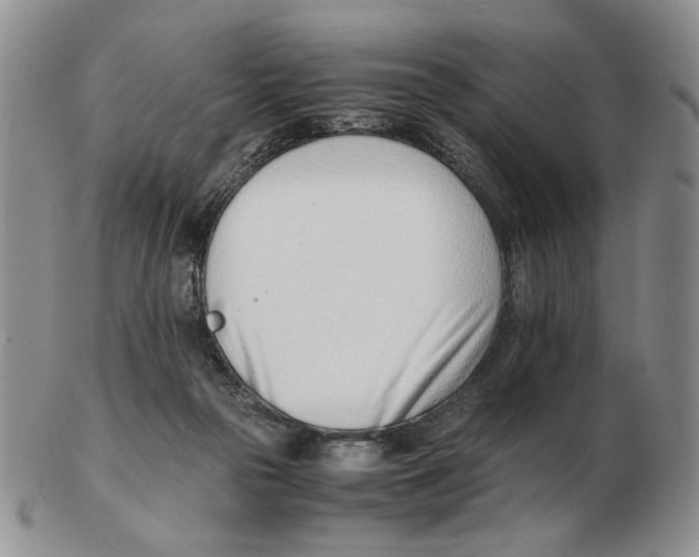 X0000102760169200809151023