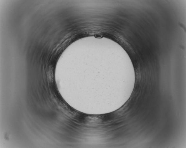 X0000102760170200809151023
