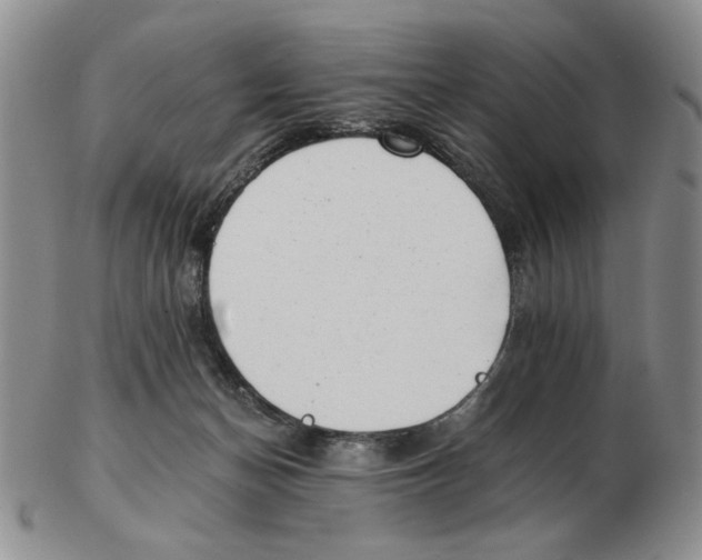 X0000102760174200809151023