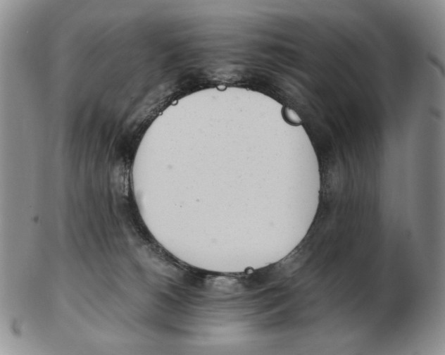 X0000102760180200809151023