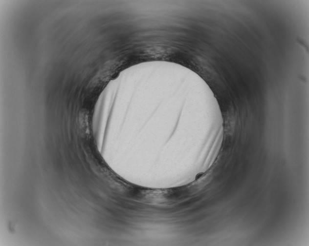X0000102760182200809151024