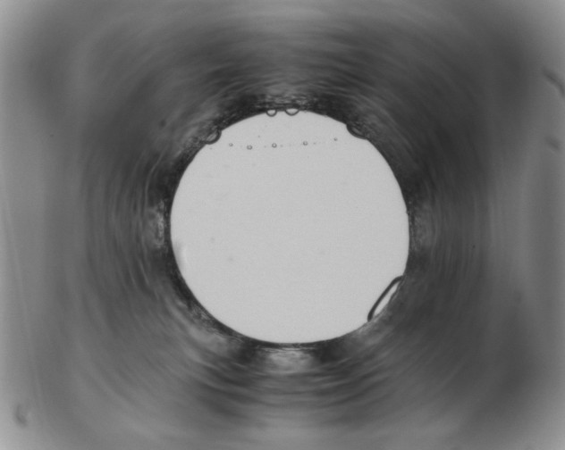 X0000102760183200809151024