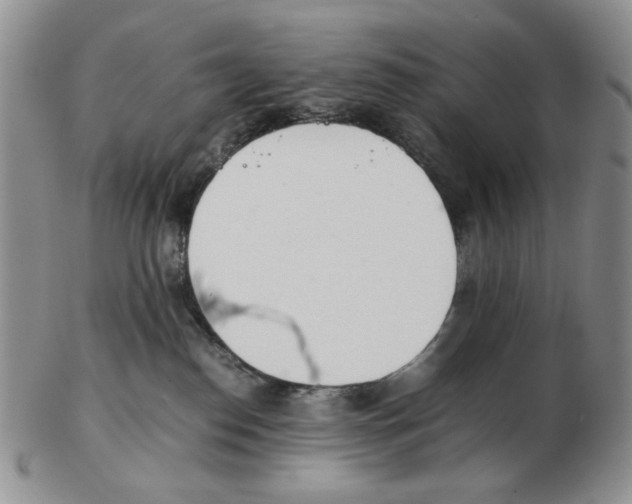 X0000102760186200809151024