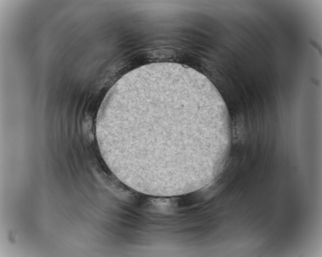X0000102760187200809151024