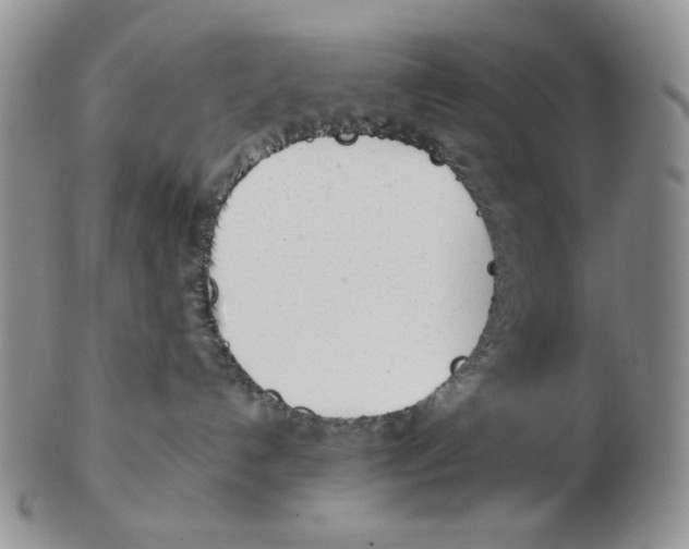 X0000102760192200809151024