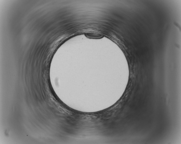 X0000102760193200809151023