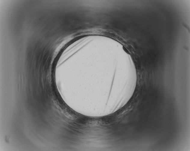X0000102760200200809151023
