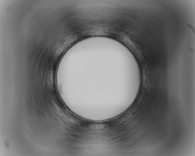 X0000102760202200809151023