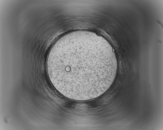 X0000102760203200809151023