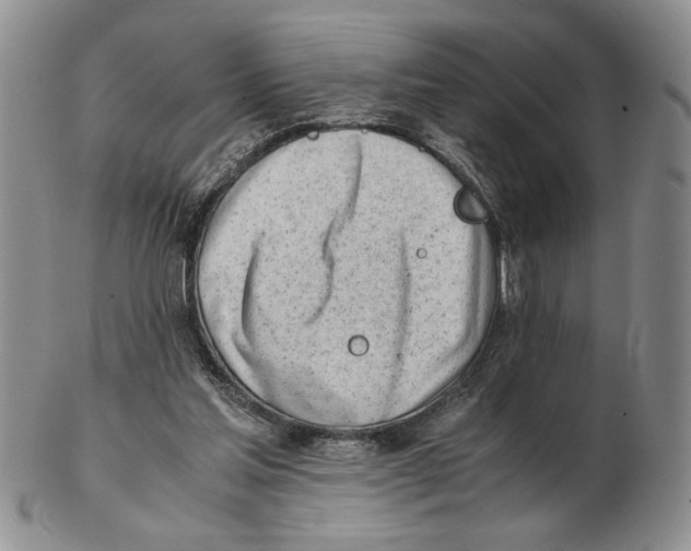 X0000102760205200809151023