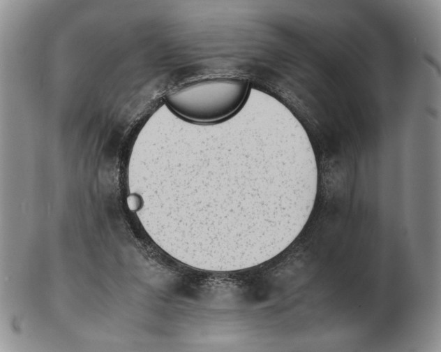 X0000102760207200809151023