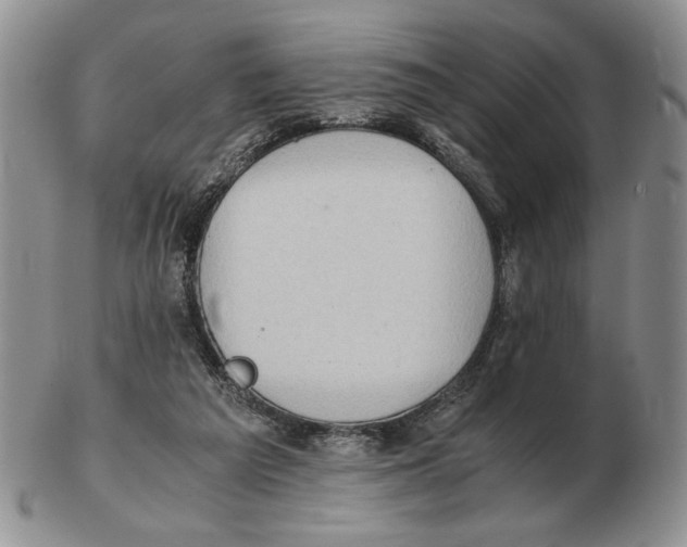X0000102760209200809151023