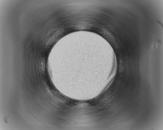 X0000102760210200809151023