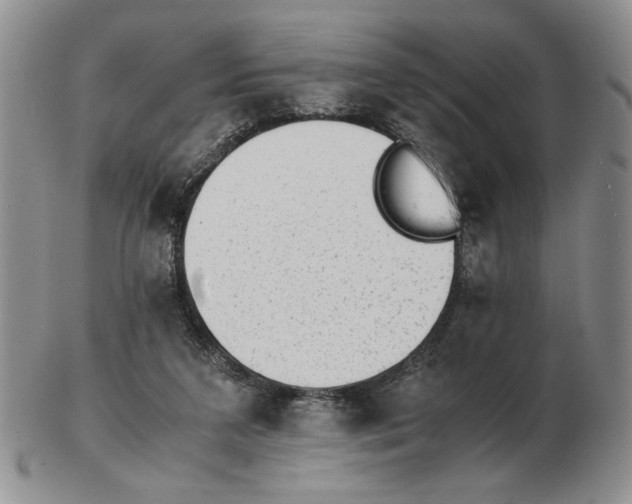 X0000102760211200809151023