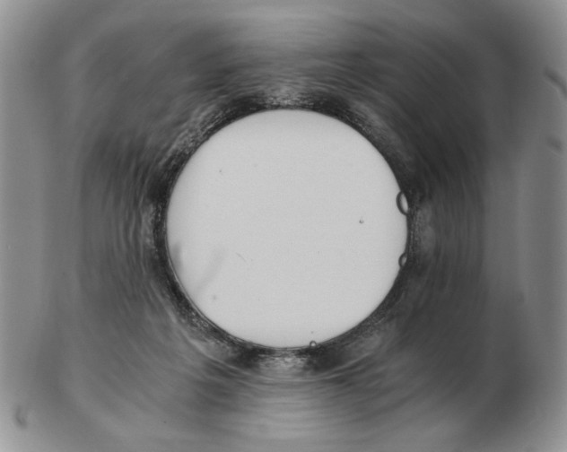 X0000102760217200809151022