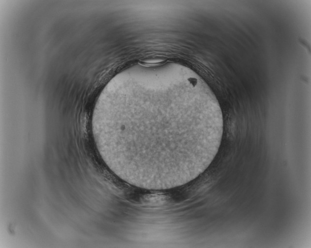 X0000102760219200809151022