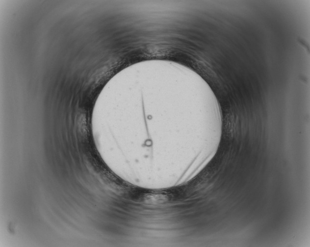 X0000102760220200809151022