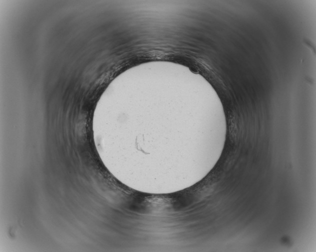 X0000102760221200809151022