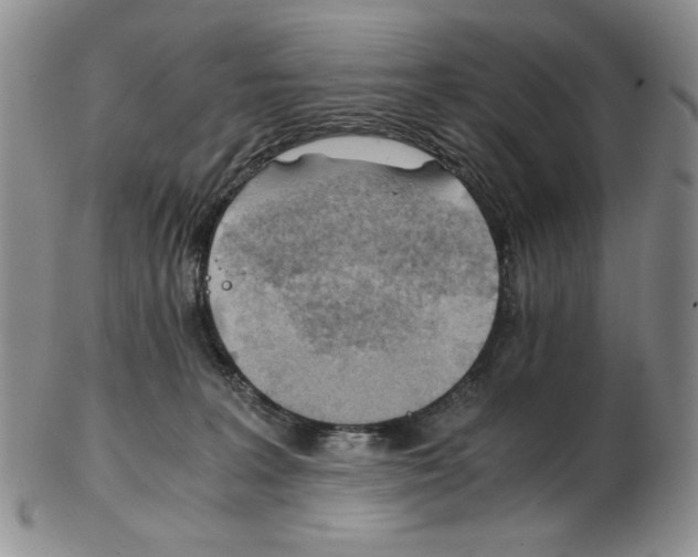 X0000102760227200809151022