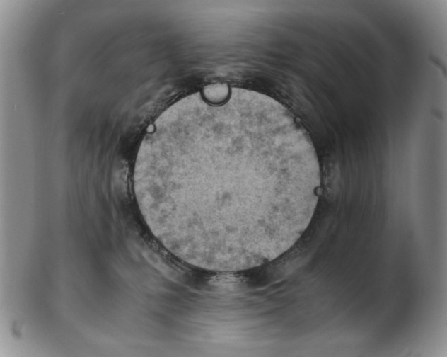 X0000102760231200809151022
