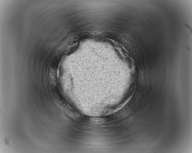 X0000102760234200809151022